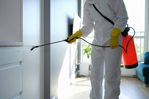 Best Local Mold Removal Service  in Luxora, AR