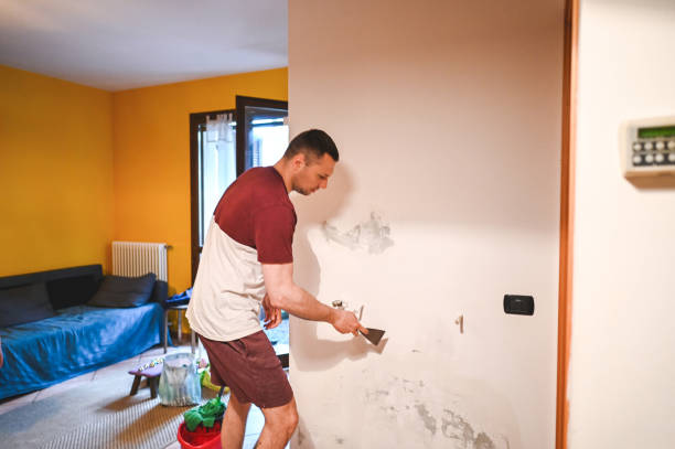 Best Mold Remediation Services  in Luxora, AR