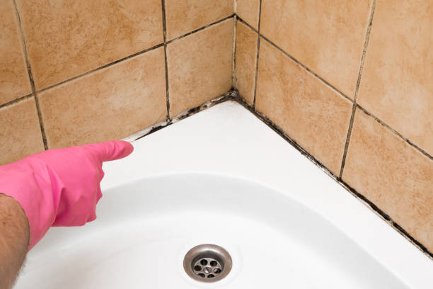 Best Mold Remediation  in Luxora, AR